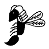 Wasp in a wig.gif