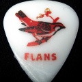 Flanspick.jpg