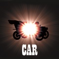 Mink Car Cover Cover2.jpg